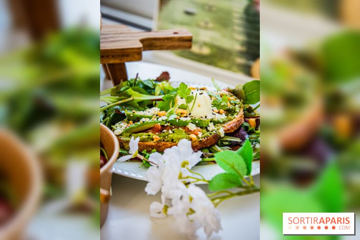 Fuumi nouvelle carte