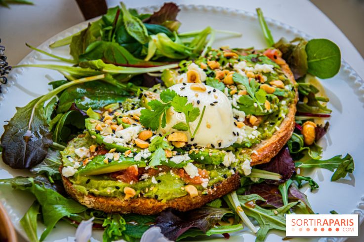 Fuumi nouvelle carte