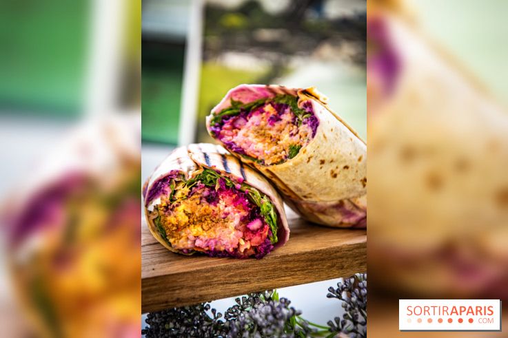 Fuumi nouvelle carte