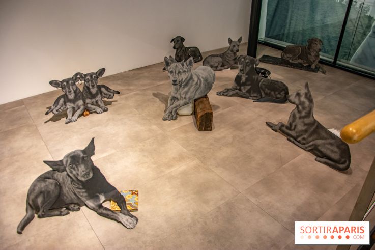 Exposition Daniel Otero Torres au Drawing Lab