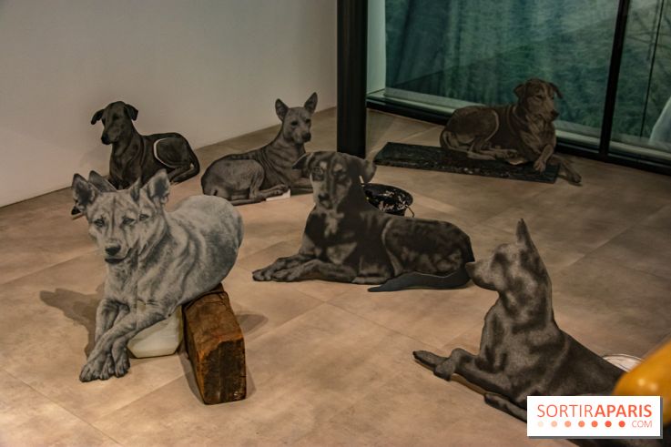 Exposition Daniel Otero Torres au Drawing Lab