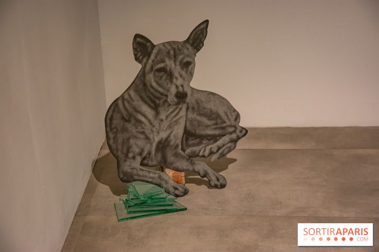 Exposition Daniel Otero Torres au Drawing Lab