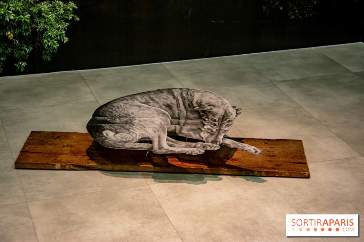 Exposition Daniel Otero Torres au Drawing Lab