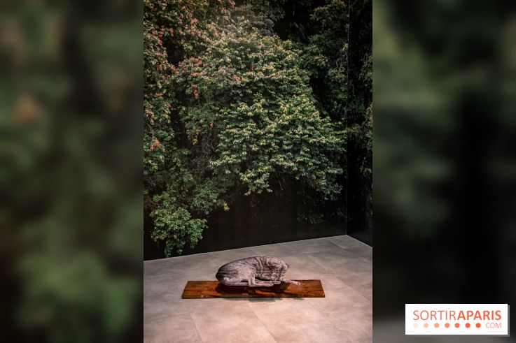 Exposition Daniel Otero Torres au Drawing Lab