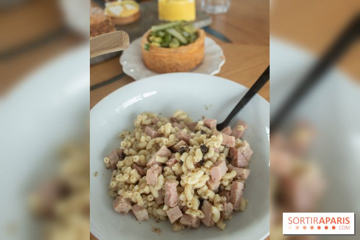 La Fabrique à Toga d'Olivier Stehly