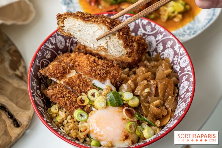 Les Débridés, Dark Kitchen street food asiatique