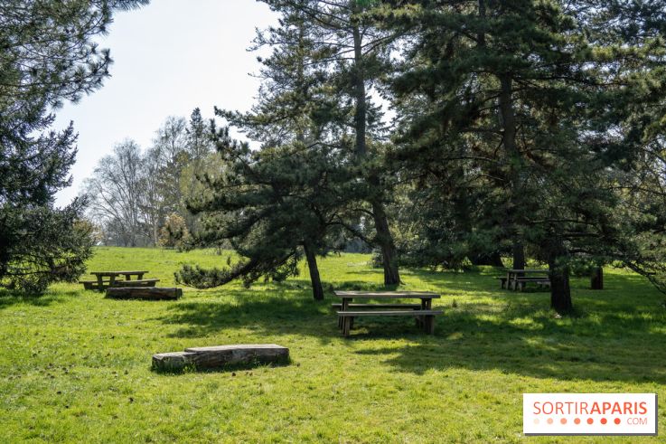 Les cerisiers et arbres en fleurs de l’Arboretum de Chevreloup