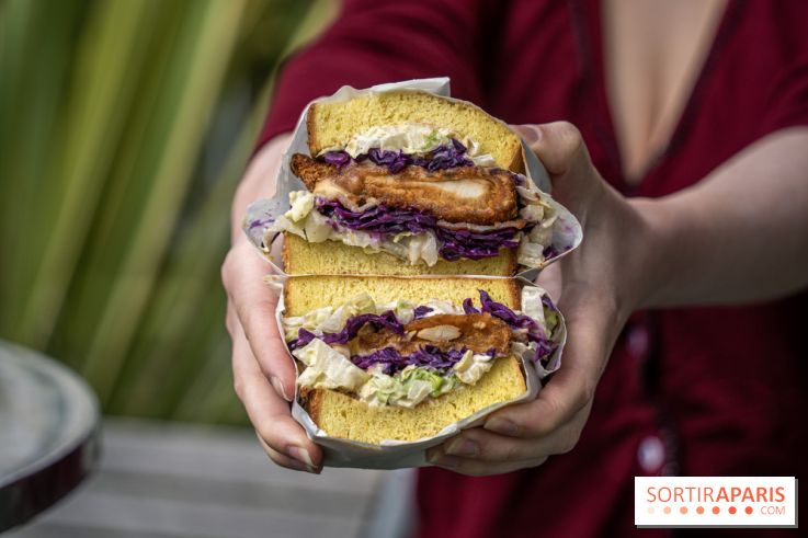 Lazy Guys Paris, street food Airfried