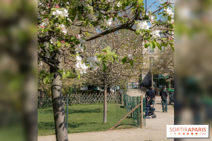 Jardin Catherine Labouré et le Jardin du Potager