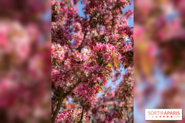 Jardin Catherine Labouré et le Jardin du Potager