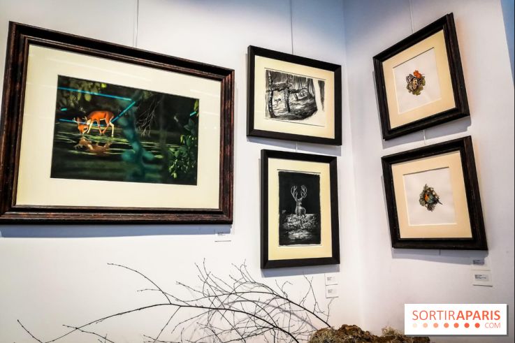 Shizen, l'expo gratuite de Benjamin Lacombe à la galerie Daniel Maghen - nos photos