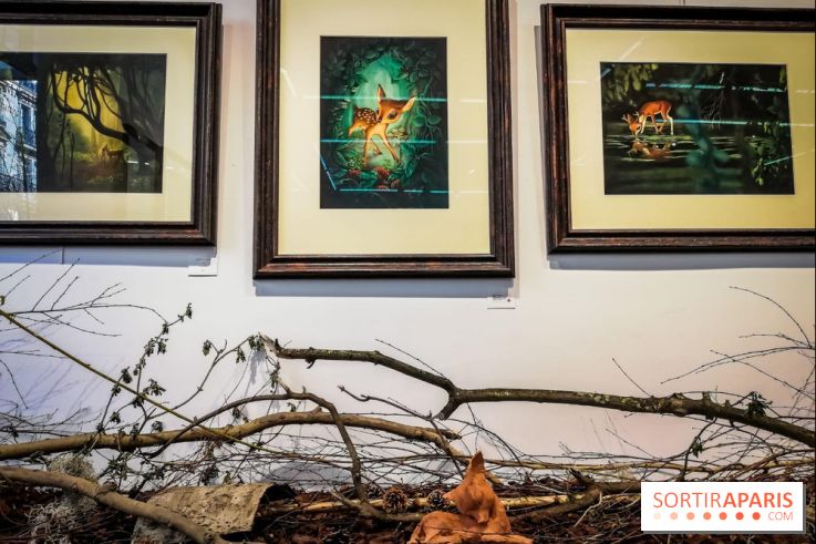 Shizen, l'expo gratuite de Benjamin Lacombe à la galerie Daniel Maghen - nos photos