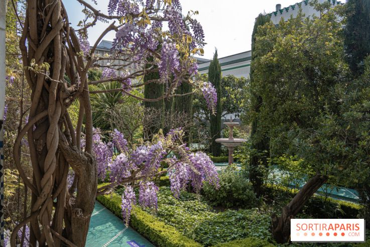La Mosquée de Paris et son jardin en fleurs
