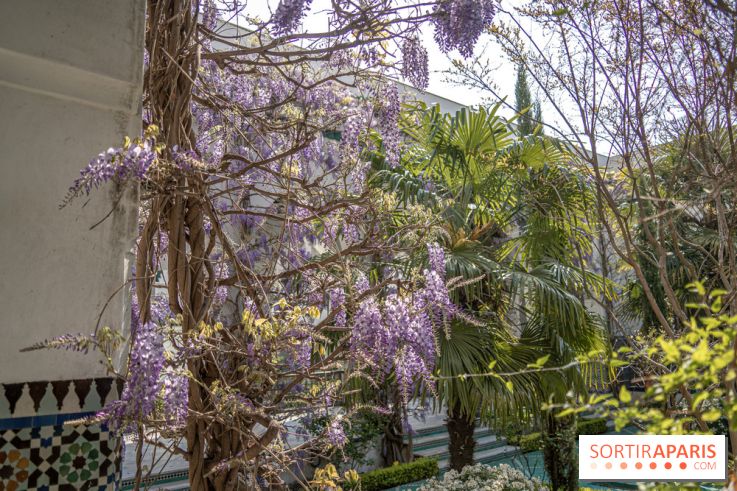 La Mosquée de Paris et son jardin en fleurs