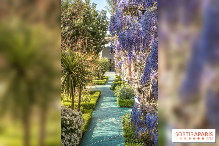 La Mosquée de Paris et son jardin en fleurs