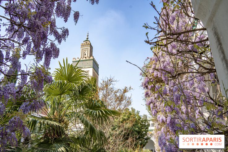 La Mosquée de Paris et son jardin en fleurs