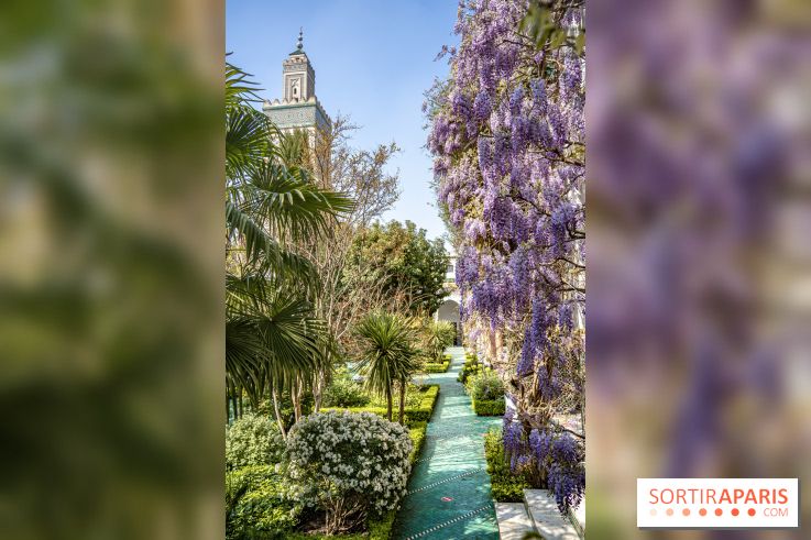 La Mosquée de Paris et son jardin en fleurs