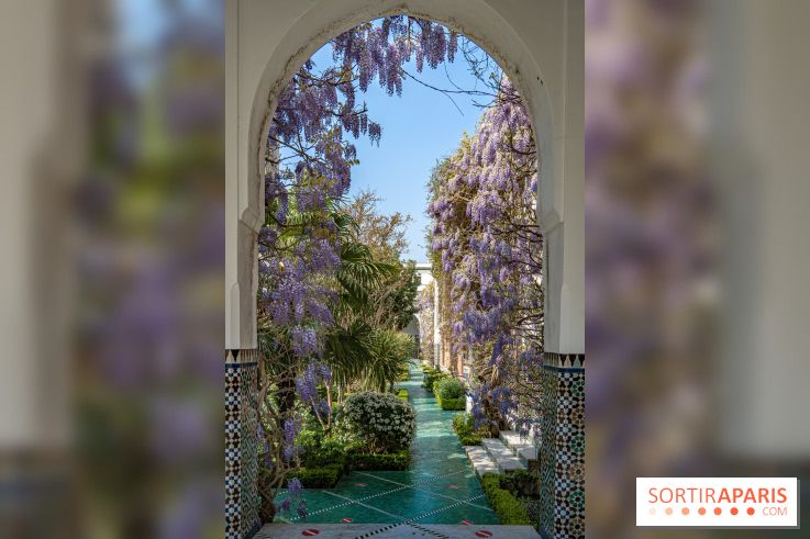 La Mosquée de Paris et son jardin en fleurs