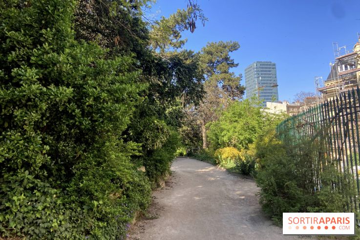 Les Arènes de Lutèce à Paris