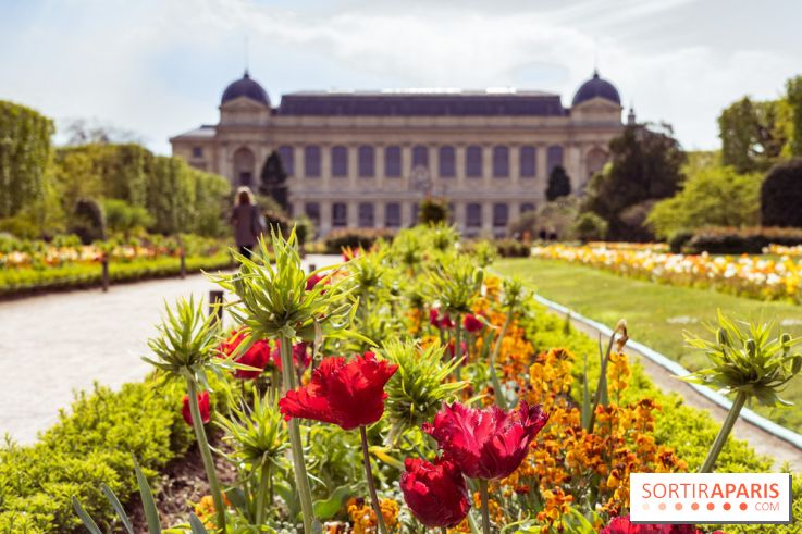 Photos : exposition Fragiles colosses au Jardin des Plantes