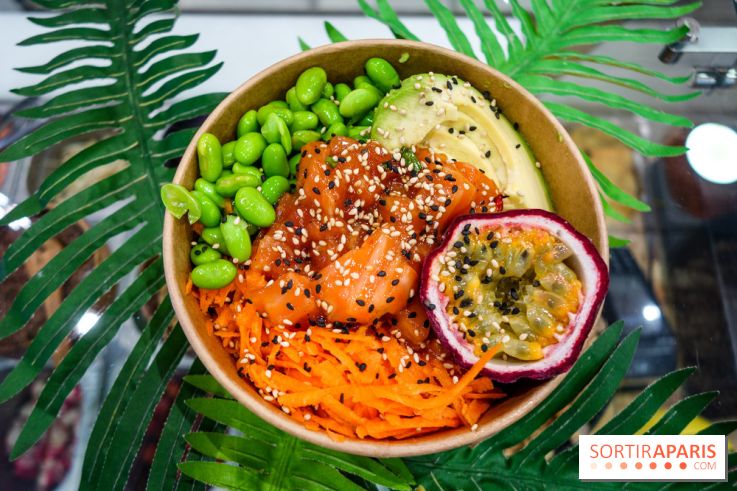 Pokelife, les photos