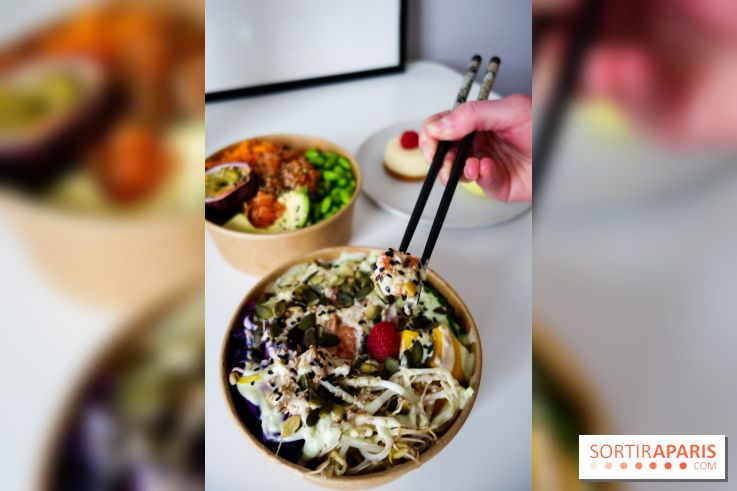 Pokelife, les photos