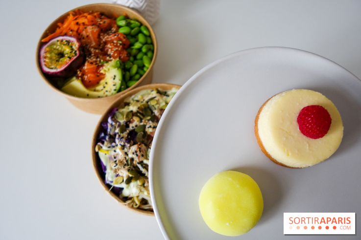 Pokelife, les photos