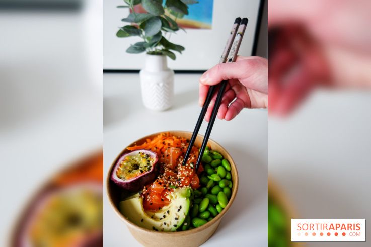 Pokelife, les photos