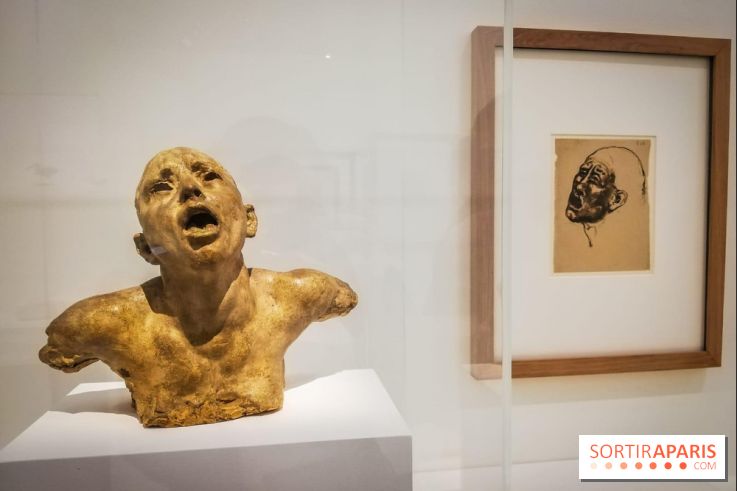 Picasso-Rodin : l'exposition se prolonge au Musée Rodin - nos photos