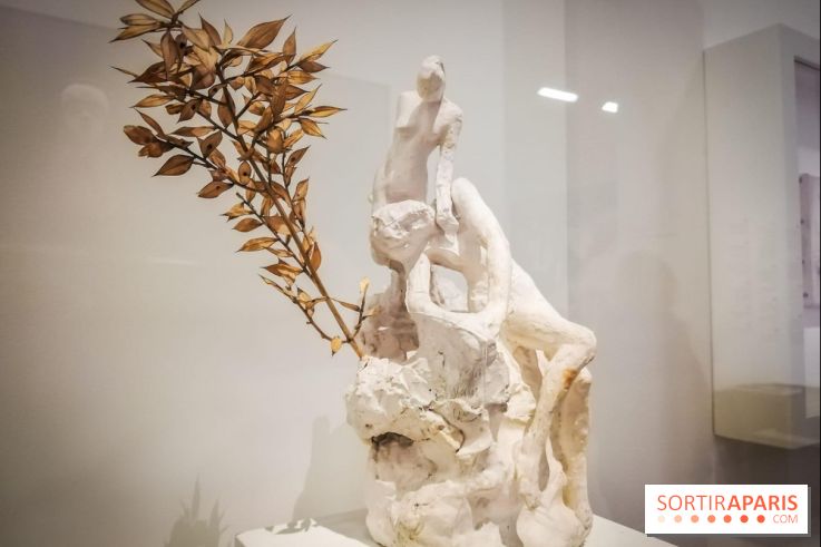 Picasso-Rodin : l'exposition se prolonge au Musée Rodin - nos photos