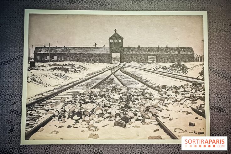 Nous vous aimons, Madame : l'expo hommage à Simone Veil à l'Hôtel de Ville de Paris - nos photos