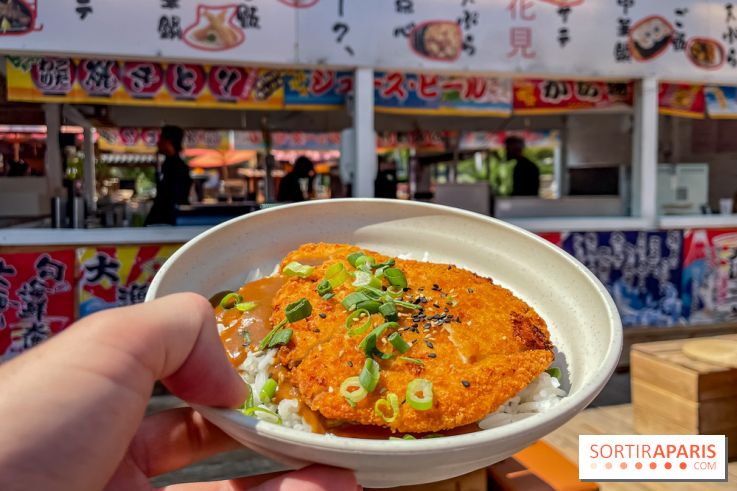 Hanami Paris, Ła terrasse éphémère du Trocadéro - IMG 4490