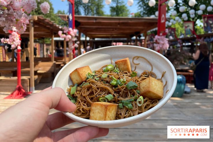 Hanami Paris, Ła terrasse éphémère du Trocadéro - IMG 4492