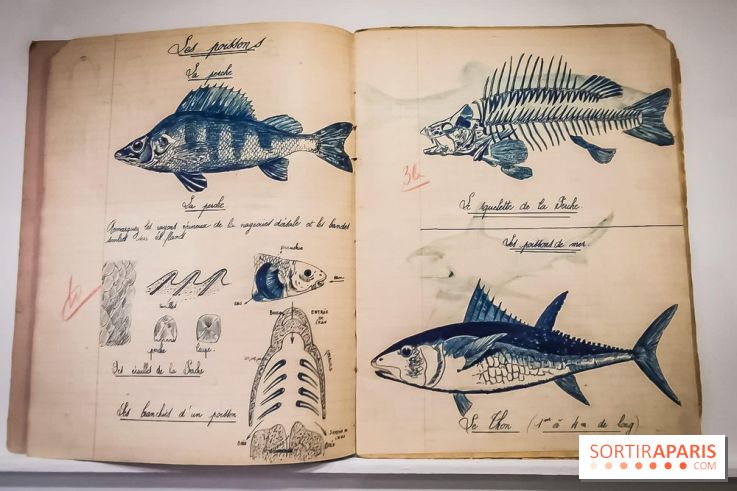 Uderzo, comme une potion magique : l'exposition hommage au Musée Maillol - nos photos