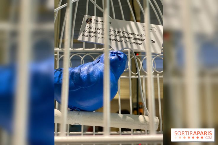 Fake News, l'exposition pédagogique déroutante de la Fondation EDF