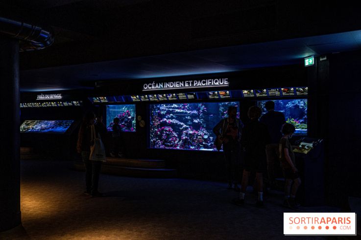 L'Aquarium Tropical de la Porte Dorée