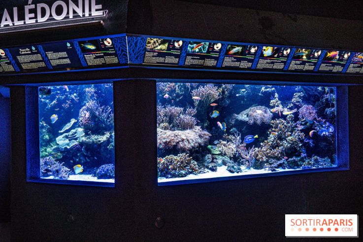 L'Aquarium Tropical de la Porte Dorée