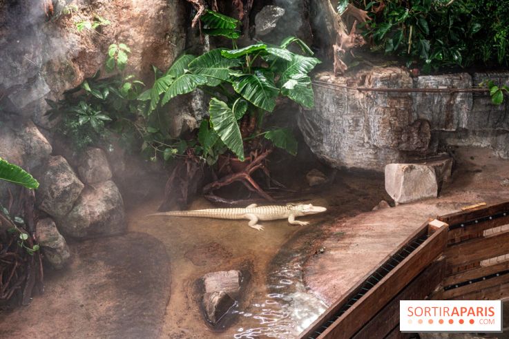 L'Aquarium Tropical de la Porte Dorée