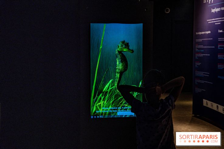 L'Aquarium Tropical de la Porte Dorée