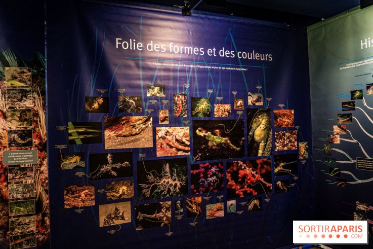 L'Aquarium Tropical de la Porte Dorée