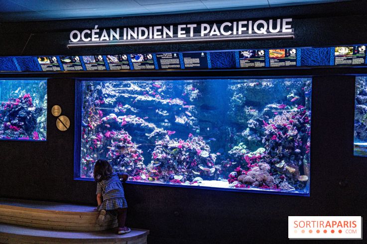 L'Aquarium Tropical de la Porte Dorée