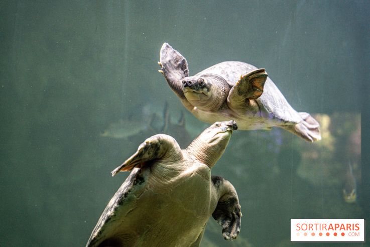 L'Aquarium Tropical de la Porte Dorée