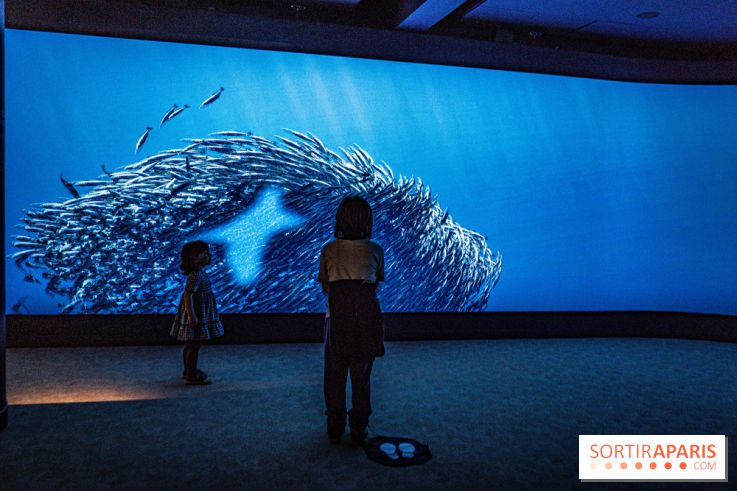 L'Aquarium Tropical de la Porte Dorée