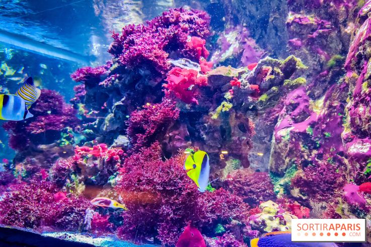 L'Aquarium Tropical de la Porte Dorée