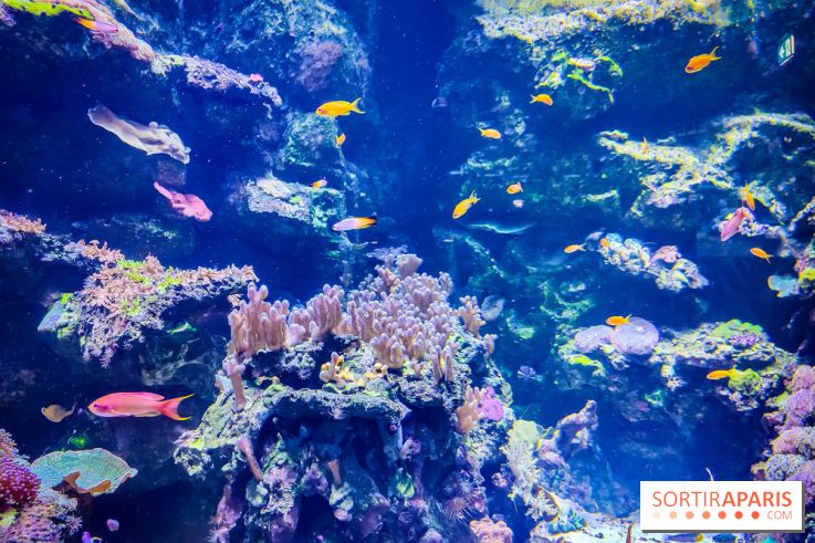 L'Aquarium Tropical de la Porte Dorée