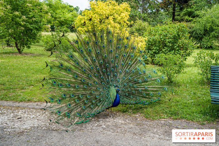 Le Parc de Bagatelle