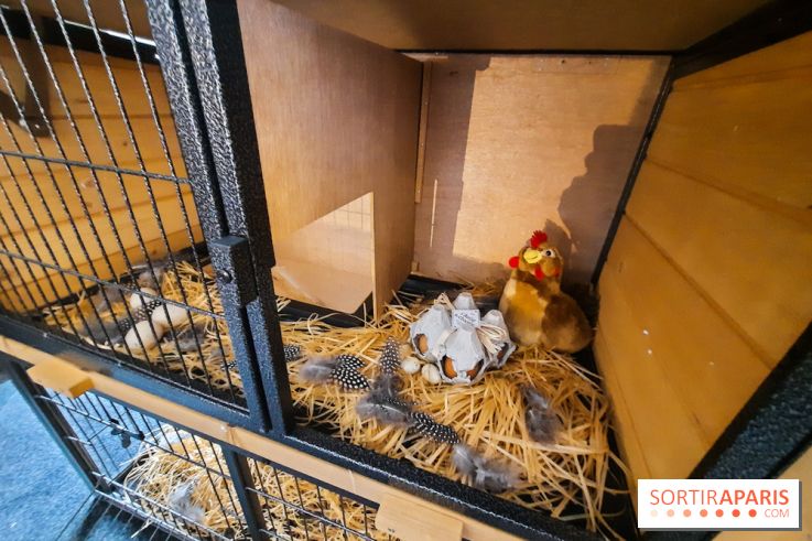 Le « Dîner avec les poules », nos photos