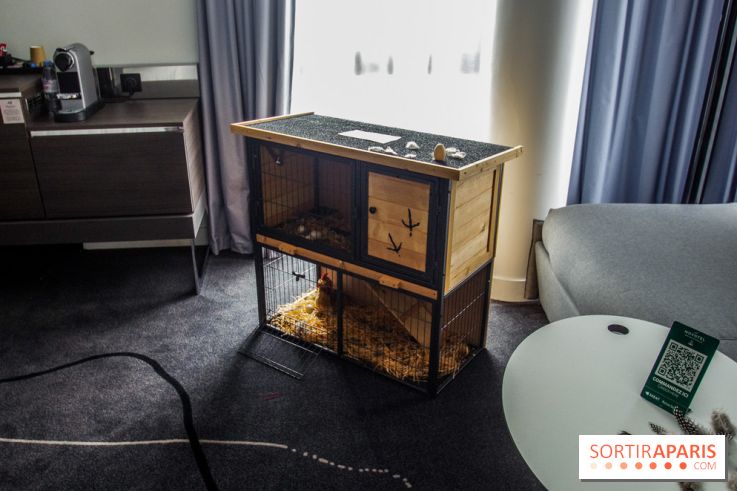 Le « Dîner avec les poules », nos photos