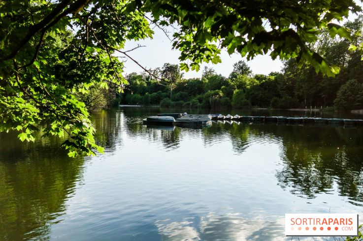 Rosa à l'Est - Porte Jaune, nos photos