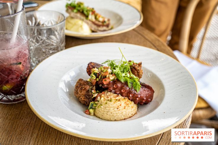 Polpo brasserie, la terrasse péniche 